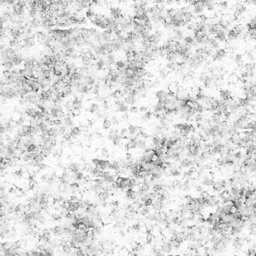 Abandoned Building Wall 150x150 Ambient Occlusion