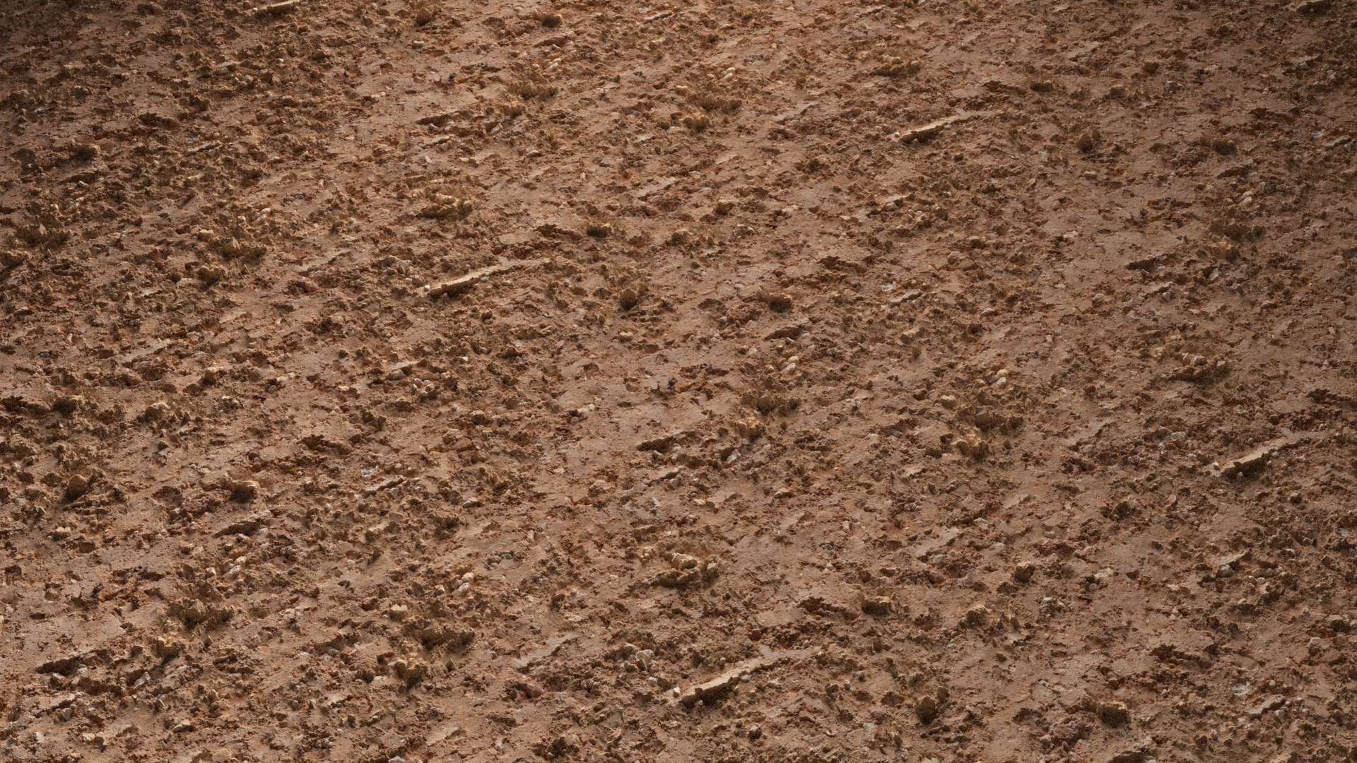 Abandoned Building Wall 150x150 Wide Preview