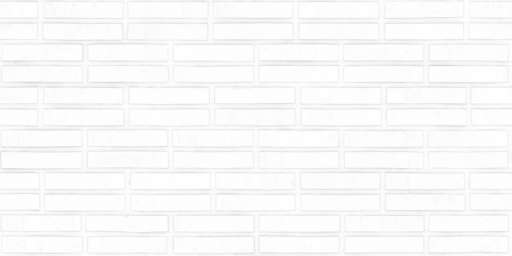 Brick Wall Dark 100x200 Ambient Occlusion