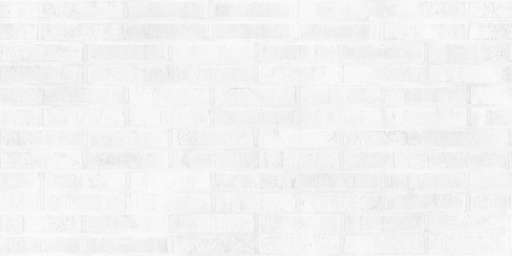 Brick Wall Dark 100x200 Cavity