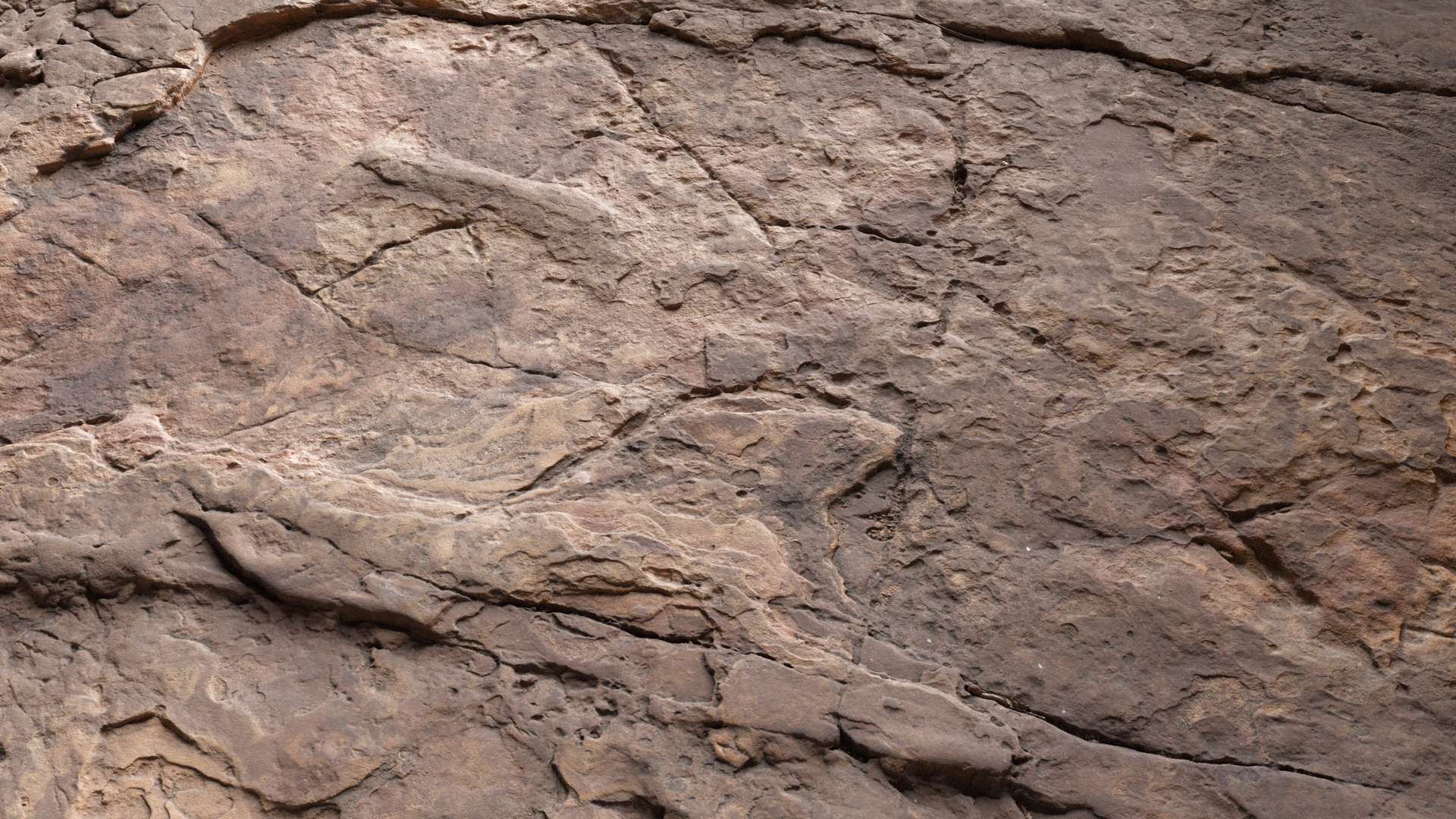 Cliff Base Ground Smooth 200x200 Close Preview