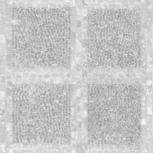 Cobblestone Pavement Grid 400x400 Roughness