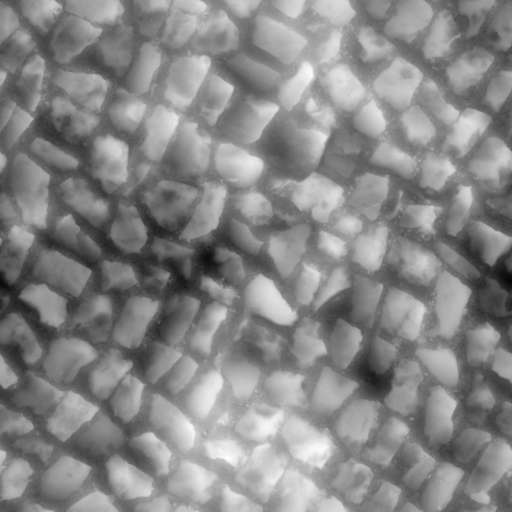 Cobblestone Pavement 150x150 Height