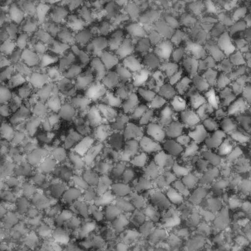 Cobblestone Pavement 200x200 Height