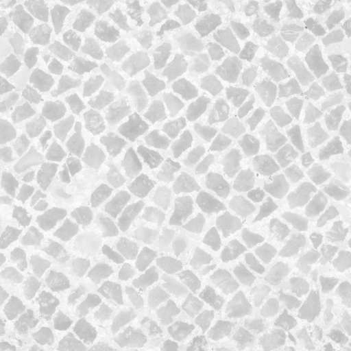 Cobblestone Pavement 200x200 Roughness