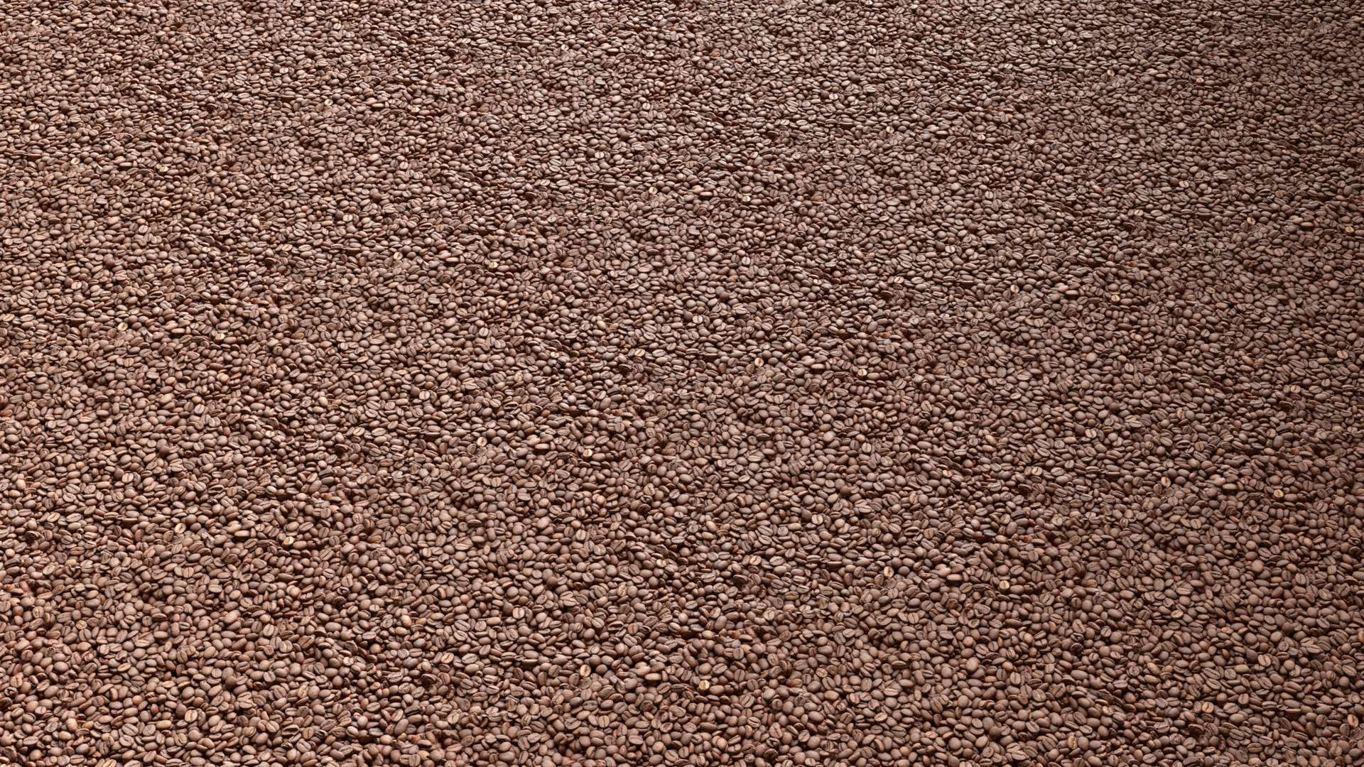 Coffee Beans 30x30 Close Preview