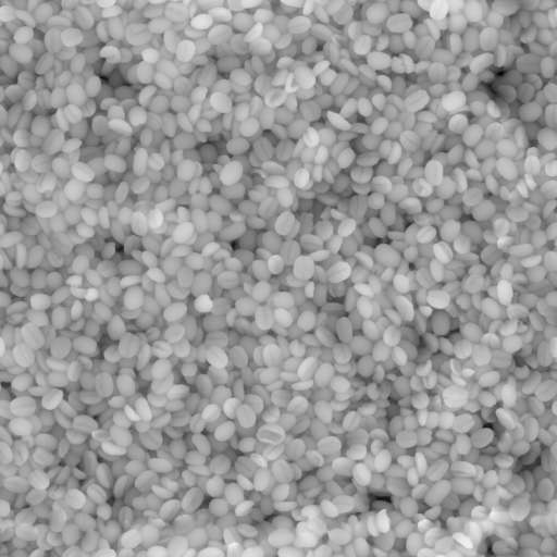 Coffee Beans 30x30 Height