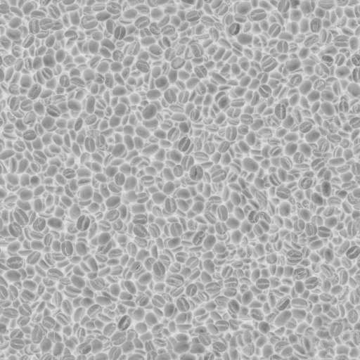 Coffee Beans 30x30 Roughness