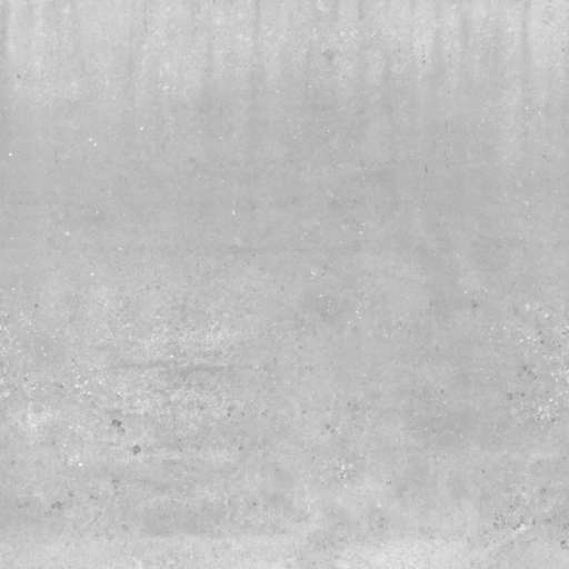 Concrete Wall Mossy 200x200 Roughness
