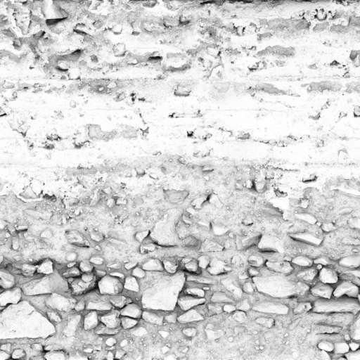 Concrete Wall Old 250x250 Ambient Occlusion