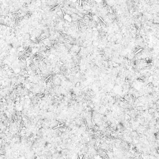 Forest Ground Mixed 200x200 Ambient Occlusion