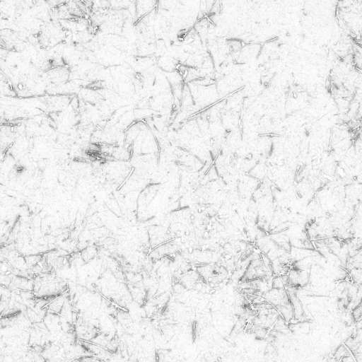 Forest Ground Pine 200x200 Ambient Occlusion