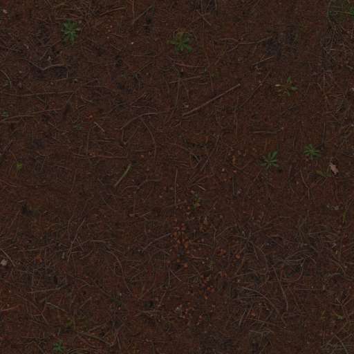 Forest Ground Pine 200x200 Albedo