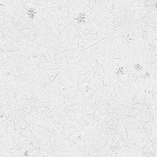 Forest Ground Pine 200x200 Roughness