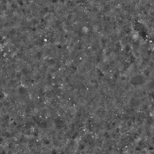 Gravel Ground Mossy Mixed A 200x200 Height