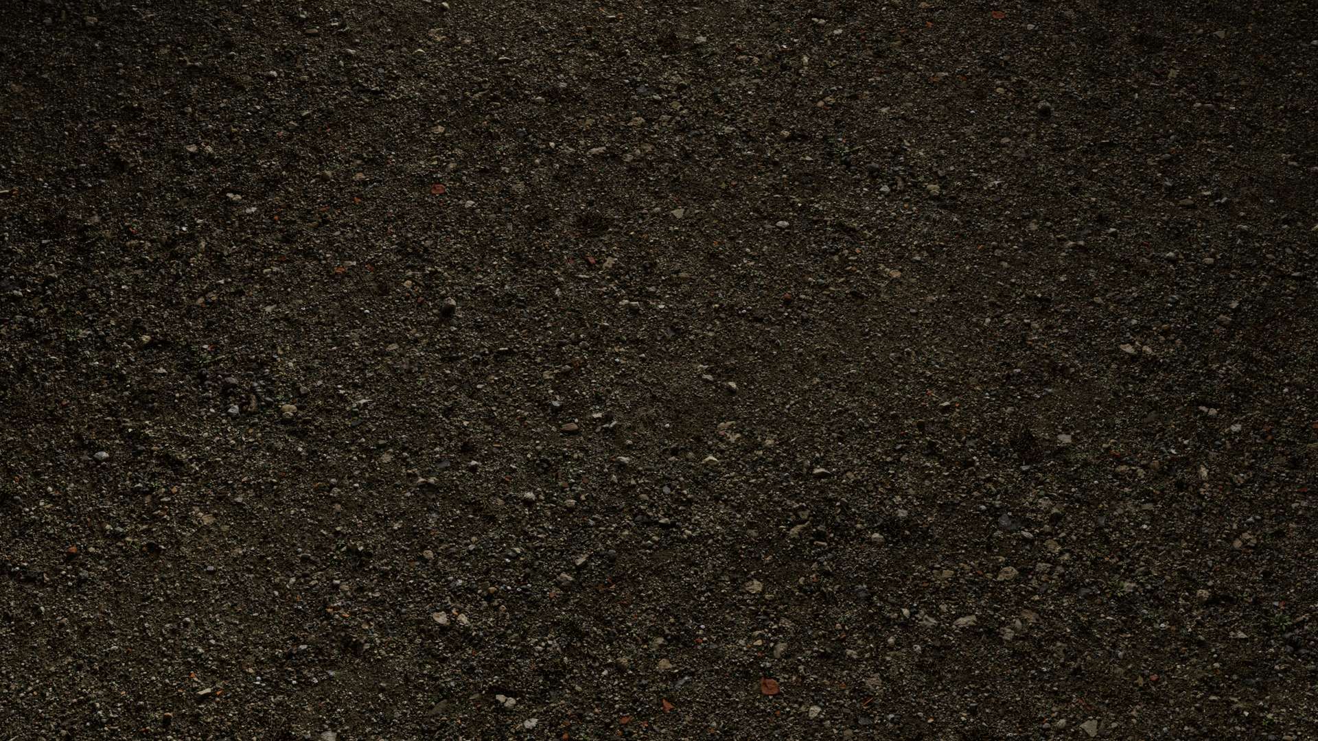 Gravel Ground Mossy Mixed A 200x200 Wide Preview