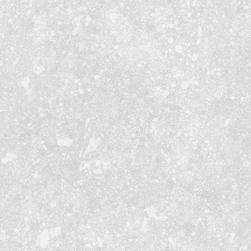 Gravel Ground Rocky 300x300 Cavity