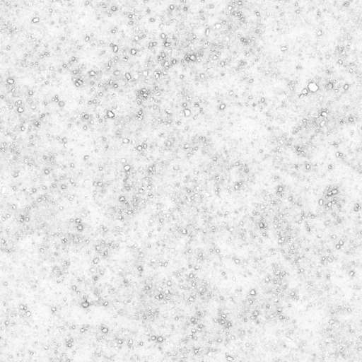 Gravel Ground 300x300 Ambient Occlusion