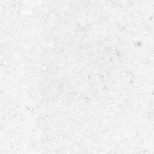 Gravel Ground 150x150 Ambient Occlusion