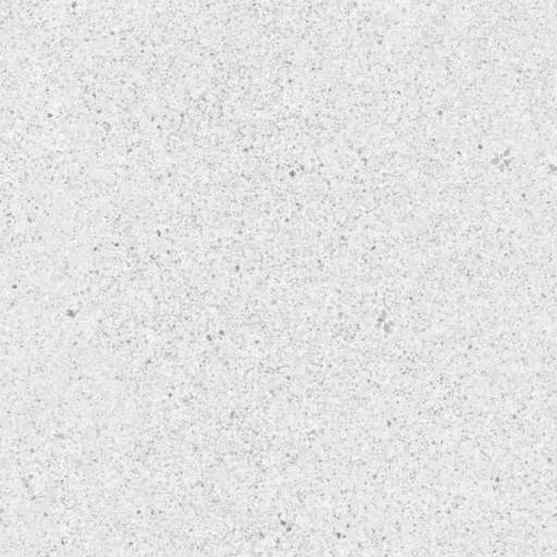 Gravel Ground 150x150 Roughness