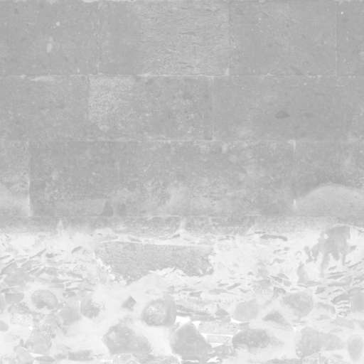 Medieval Stone Wall 200x200 Roughness