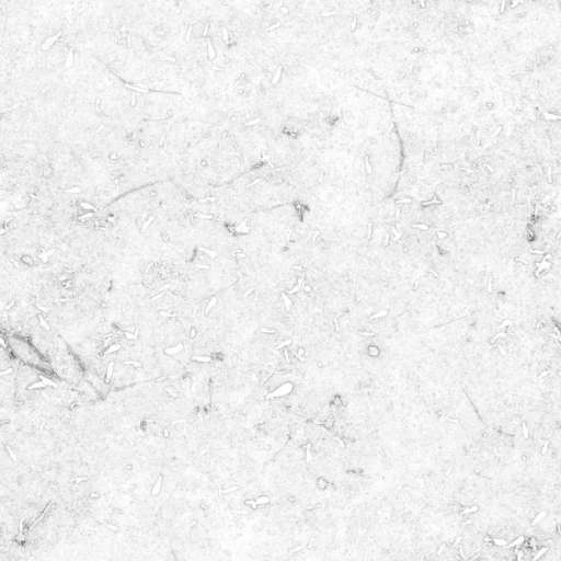 Mossy Ground Mixed 100x100 Ambient Occlusion