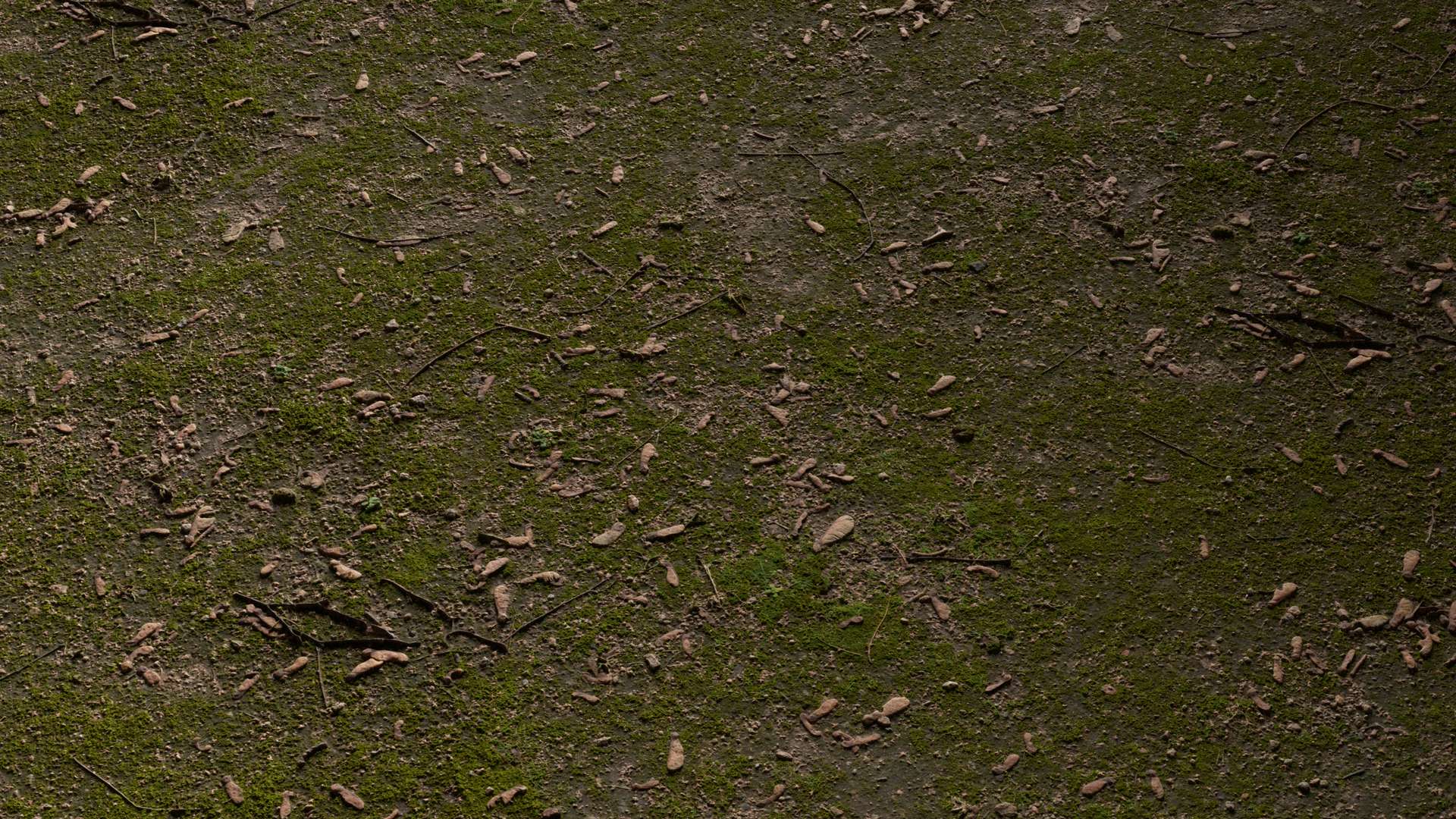 Mossy Ground Mixed 100x100 Close Preview