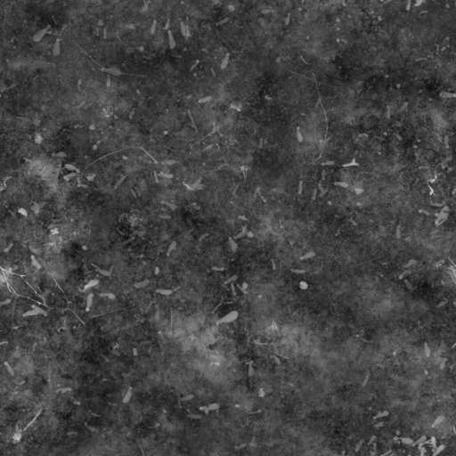 Mossy Ground Mixed 100x100 Height