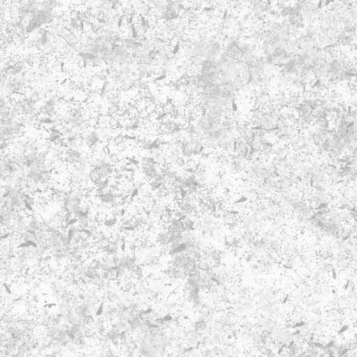 Mossy Ground Mixed 100x100 Roughness