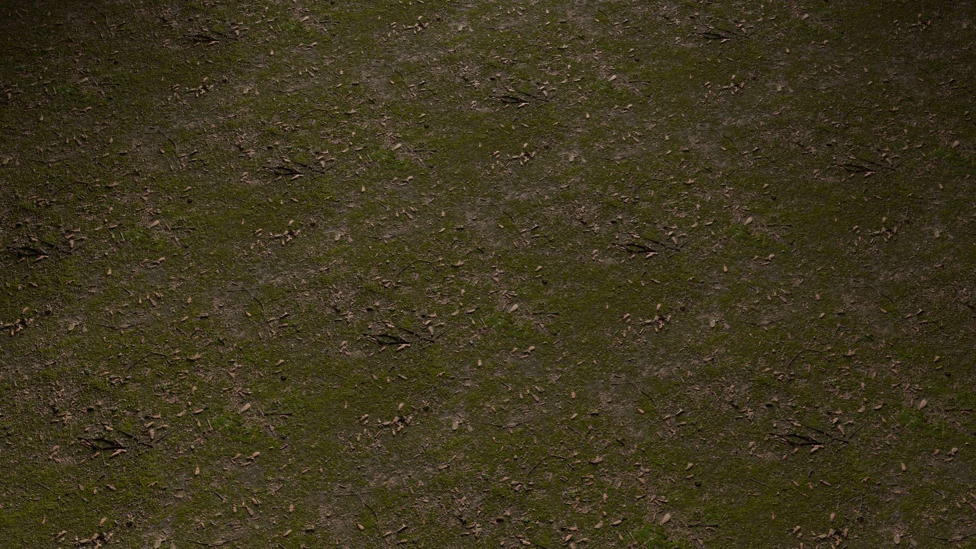 Mossy Ground Mixed 100x100 Wide Preview