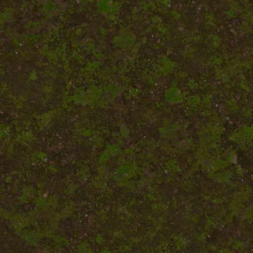 Mossy Ground Mixed 200x200 Albedo