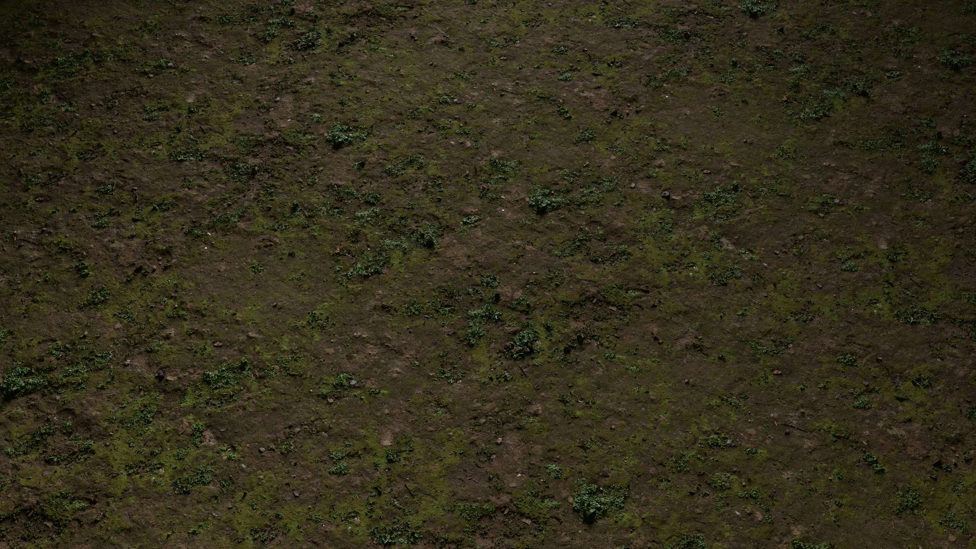 Mossy Ground Mixed 200x200 Wide Preview