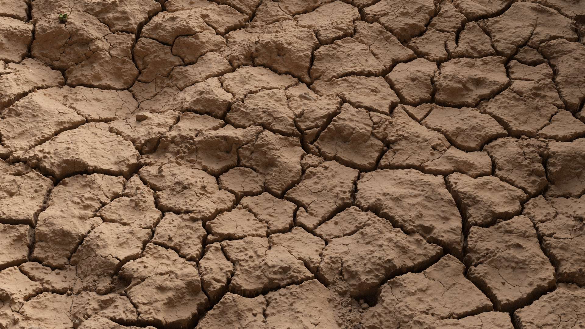 Mud Ground Cracked 250x250 Close Preview