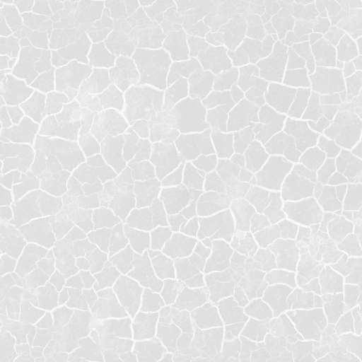 Mud Ground Cracked 250x250 Roughness