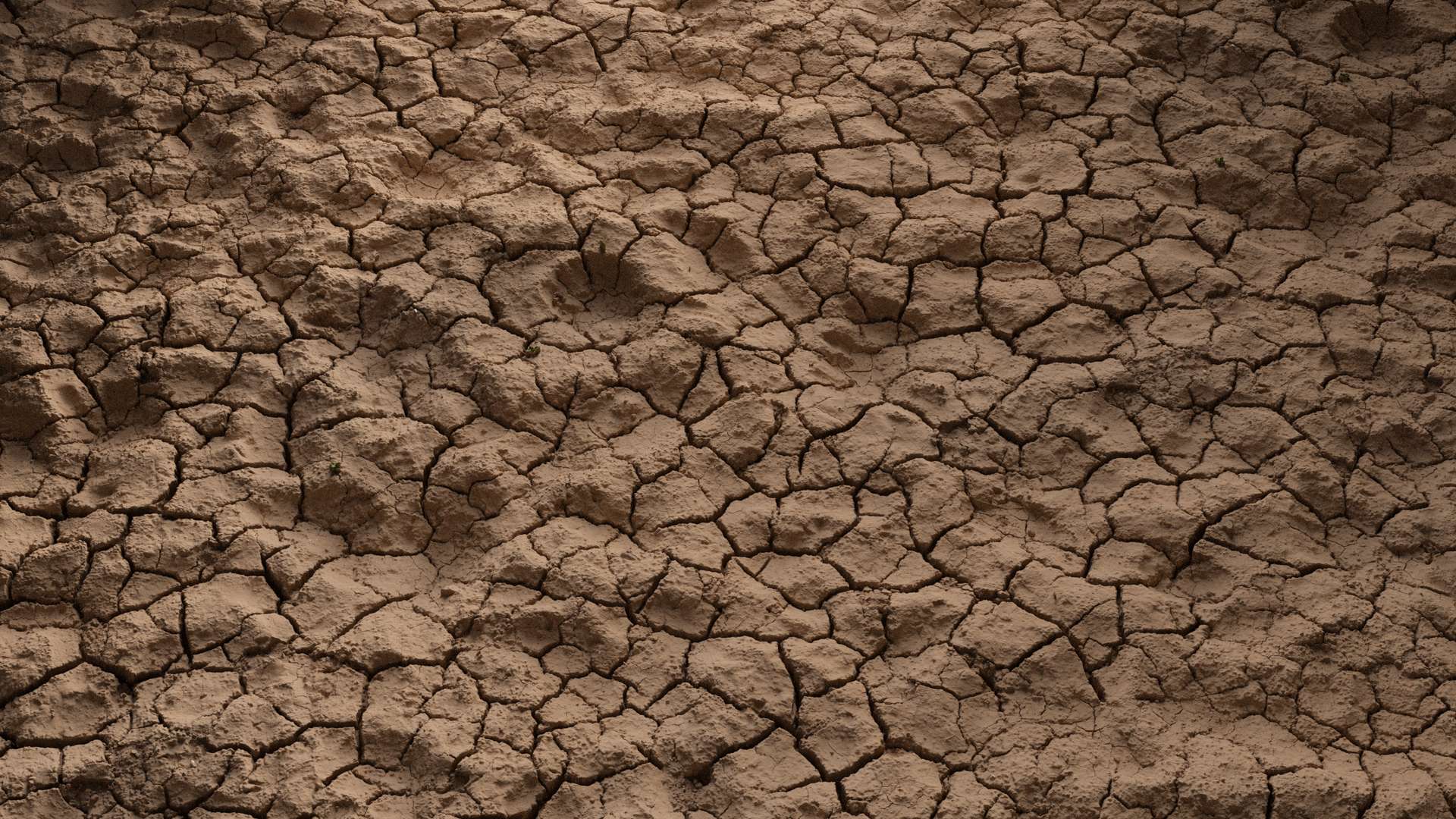 Mud Ground Cracked 250x250 Wide Preview