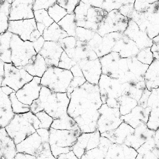 Mud Ground Cracked 200x200 Ambient Occlusion