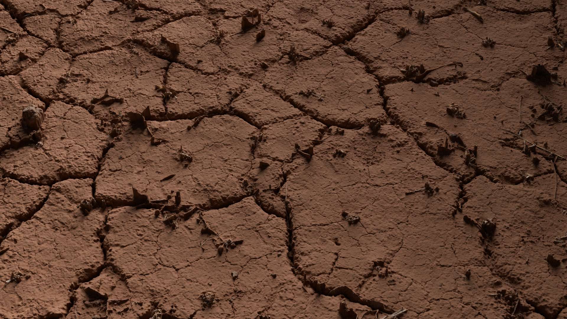 Mud Ground Cracked 200x200 Close Preview