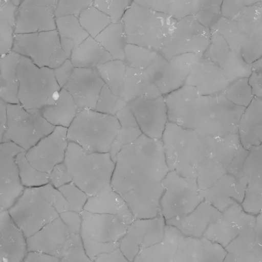 Mud Ground Cracked 200x200 Height