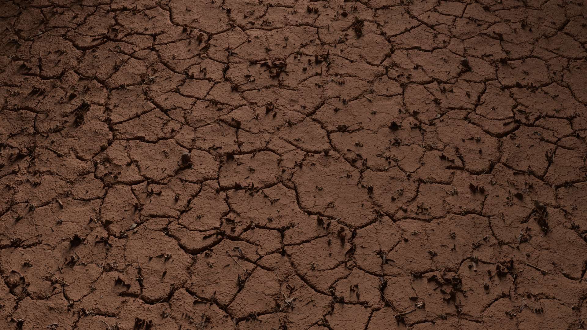 Mud Ground Cracked 200x200 Wide Preview