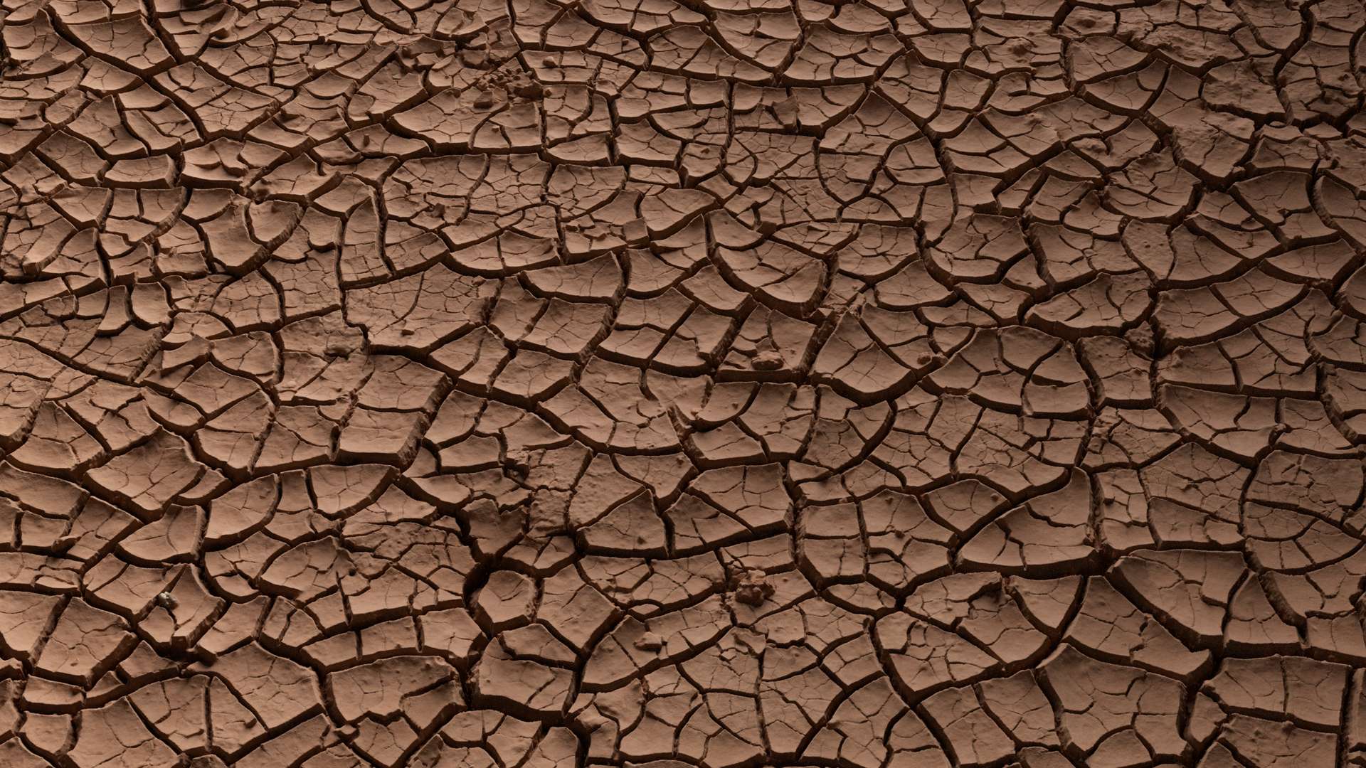 Mud Ground Cracked 300x300 Close Preview