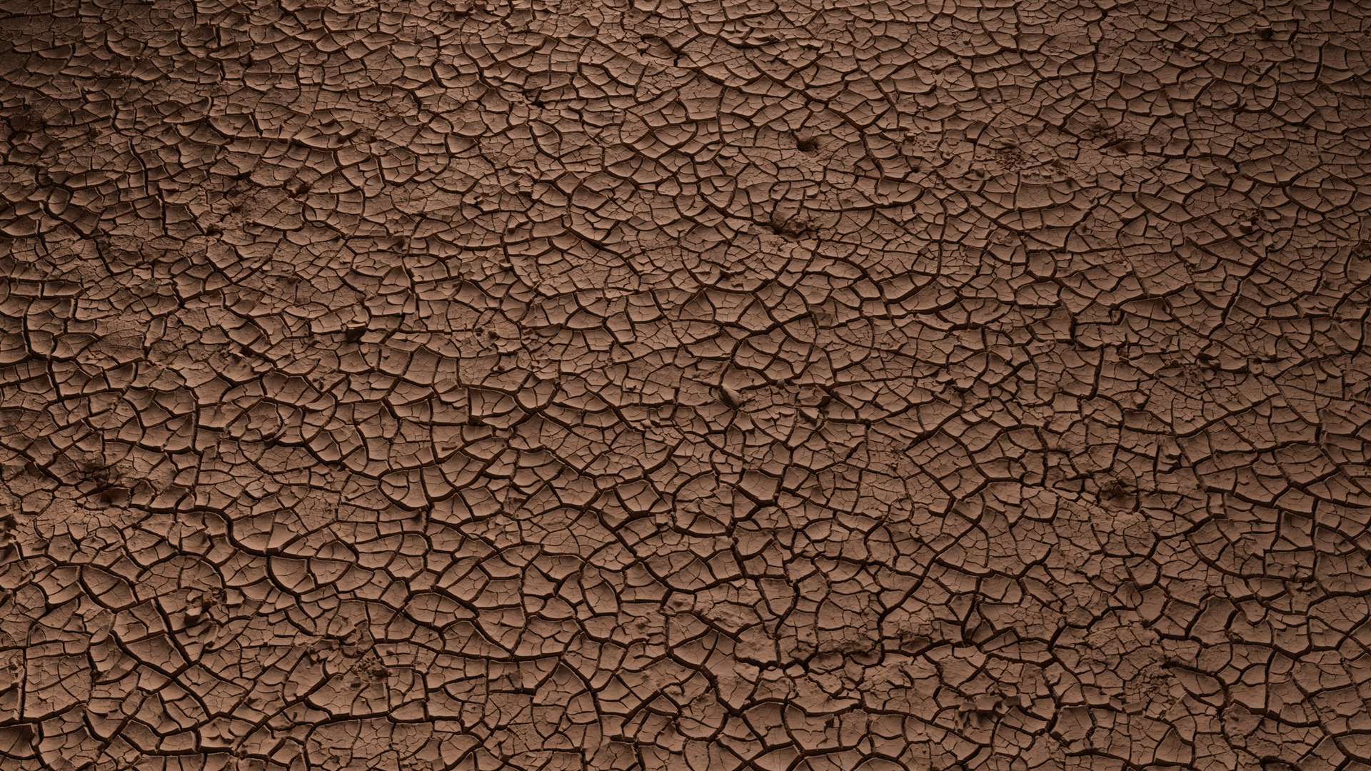 Mud Ground Cracked 300x300 Wide Preview