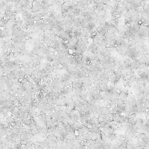 Mud Ground Dry Cracked 200x200 Ambient Occlusion