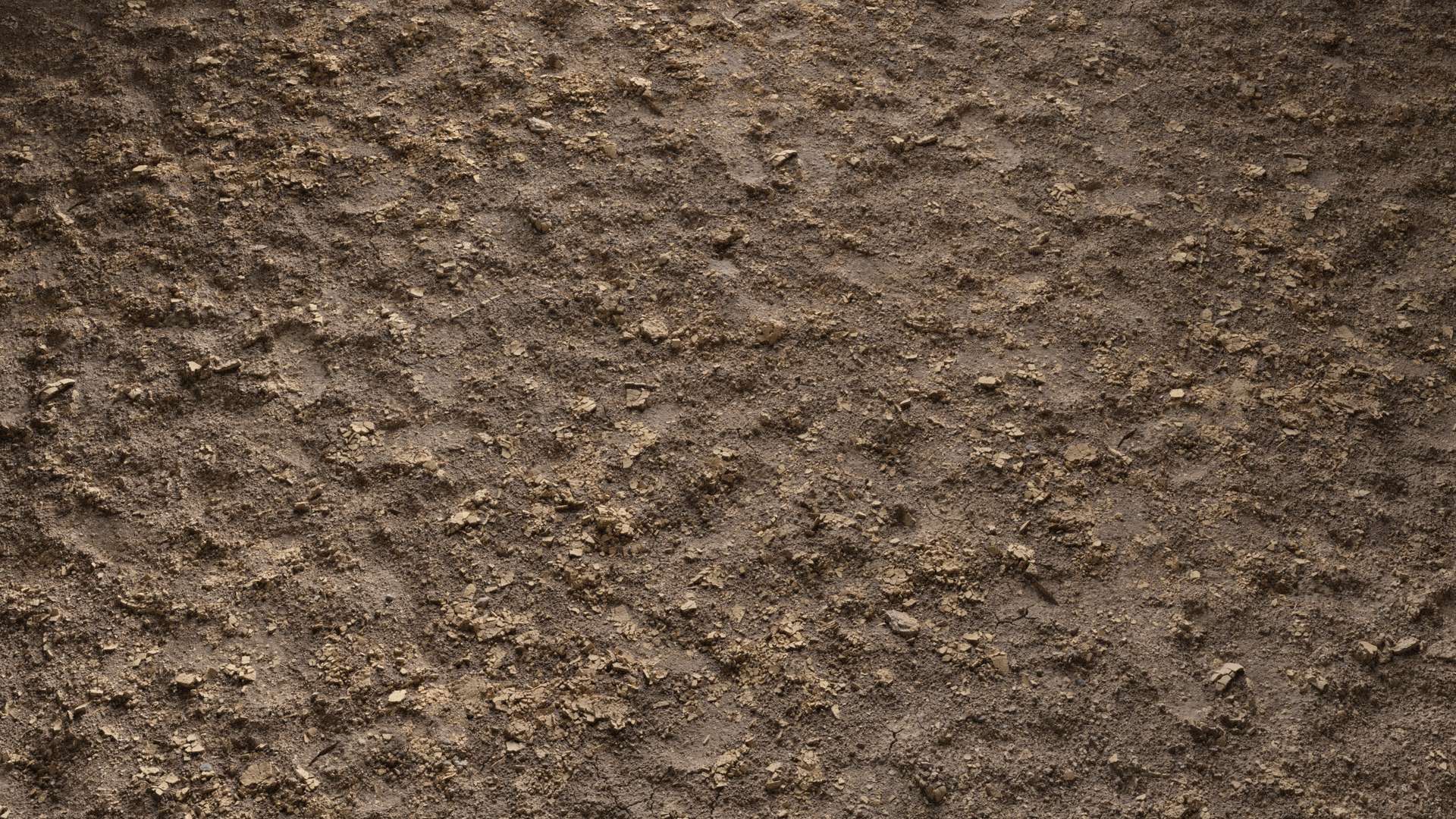 Mud Ground Dry Cracked 200x200 Wide Preview