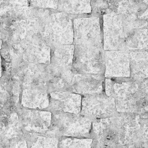 Pavement Floor Ancient Sandy 200x200 Ambient Occlusion