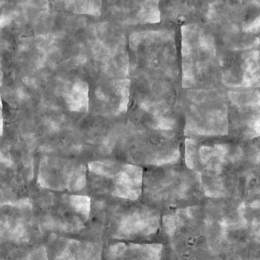 Pavement Floor Ancient Sandy 200x200 Height