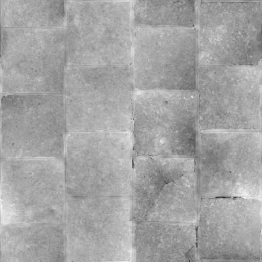 Pavement Stone Glossy 250x250 Height