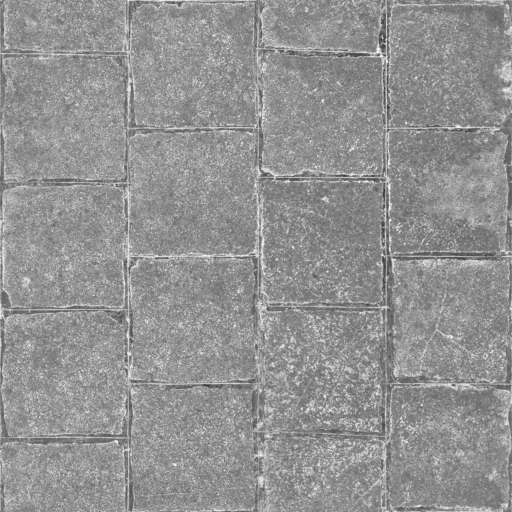 Pavement Stone Glossy 250x250 Roughness