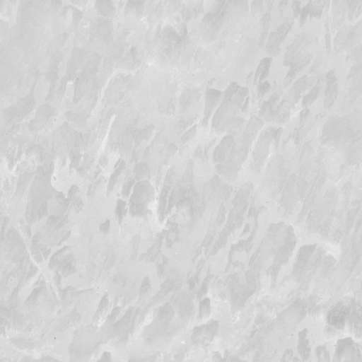 Rock Base Sandy 200x200 Roughness
