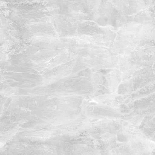Rock Cliff Wall Dark 200x200 Roughness