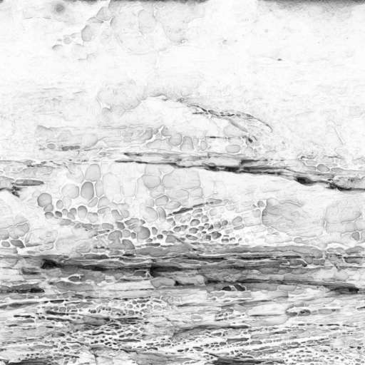 Rock Face Weathered 250x250 Ambient Occlusion